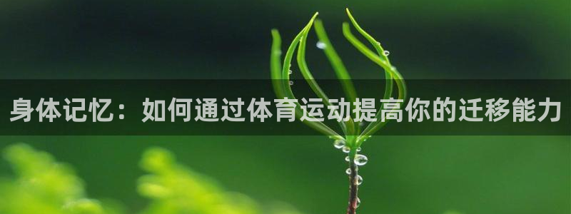 三亿体育登录：身体记忆：如何通过体育运动提高你的迁移能力
