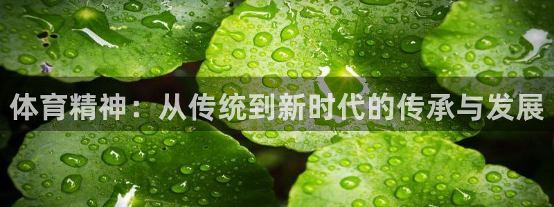 三亿体育登录：体育精神：从传统到新时代的传承与发展