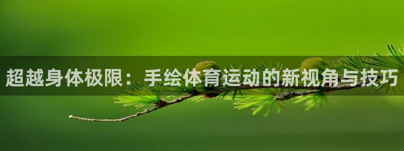 三亿体育网：超越身体极限：手绘体育运动的新视角与技巧