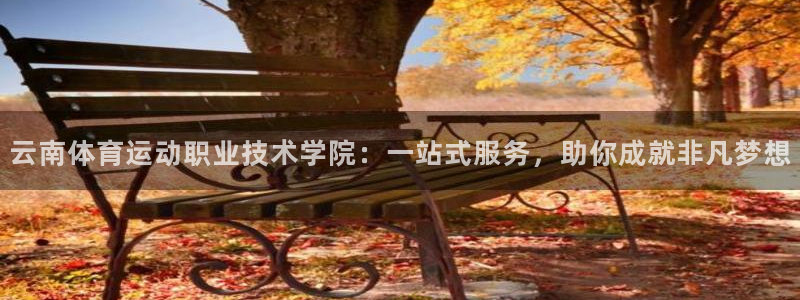 三亿体育登录：云南体育运动职业技术学院：一站式服务，助你成就非凡梦想