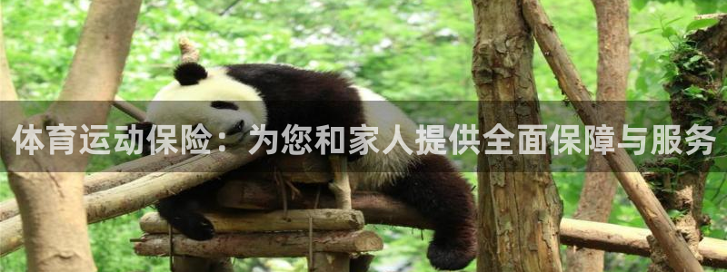 三亿体育网页版：体育运动保险：为您和家人提供全面保障与服务