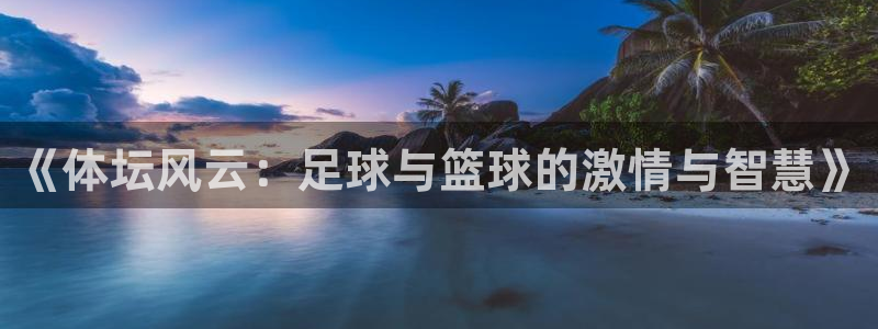 三亿体育：《体坛风云：足球与篮球的激情与智慧》