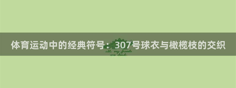 三亿体育登录：体育运动中的经典符号：307号球衣与橄榄枝的交织