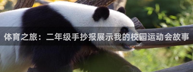 三亿体育网页版：体育之旅：二年级手抄报展示我的校园运动会故事
