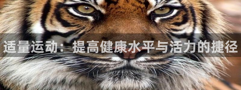 三亿体育：适量运动：提高健康水平与活力的捷径