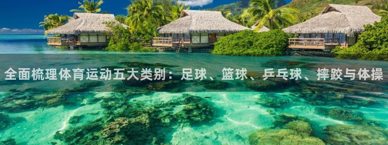 三亿体育网：全面梳理体育运动五大类别：足球、篮球、乒乓球、摔跤与体操