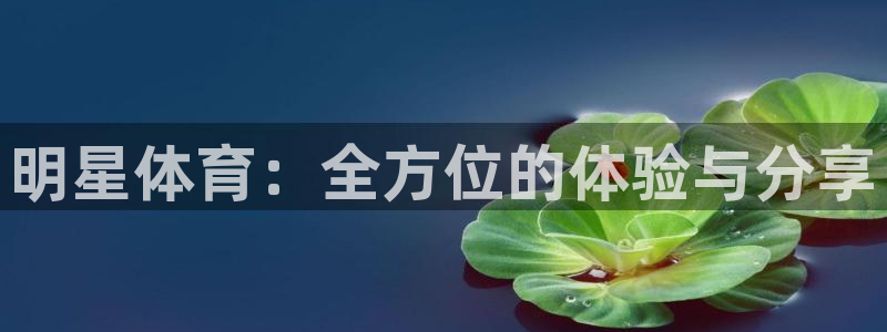 三亿体育网页版：明星体育：全方位的体验与分享