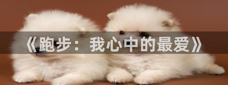 三亿体育登录：《跑步：我心中的最爱》