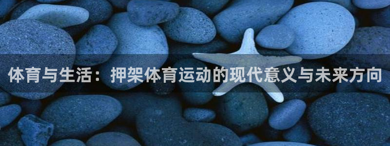 三亿体育网页版：体育与生活：押架体育运动的现代意义与未来方向