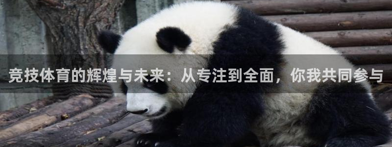 三亿体育登录：竞技体育的辉煌与未来：从专注到全面，你我共同参与