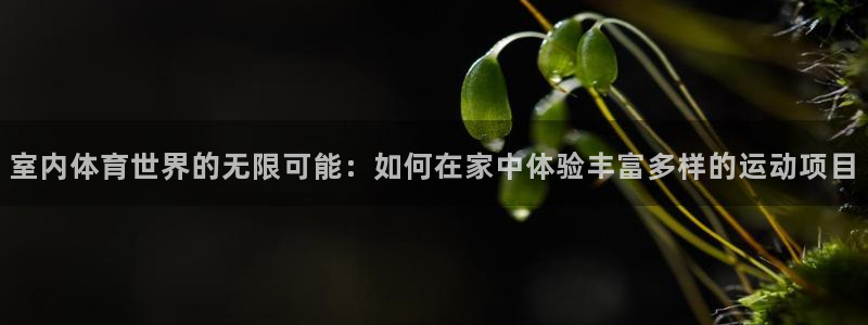 三亿体育：室内体育世界的无限可能：如何在家中体验丰富多样的运动项目