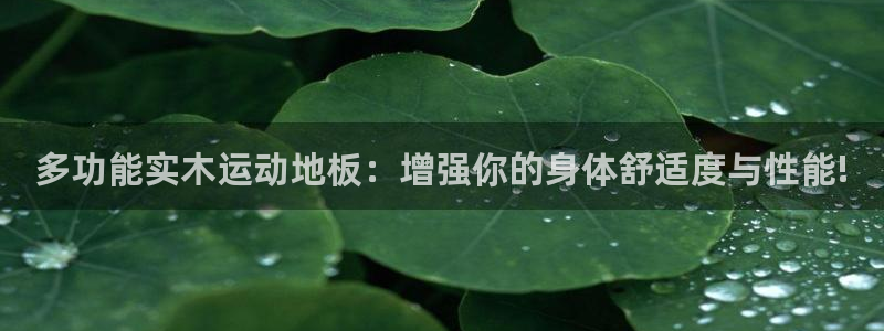 三亿体育：多功能实木运动地板：增强你的身体舒适度与性能!