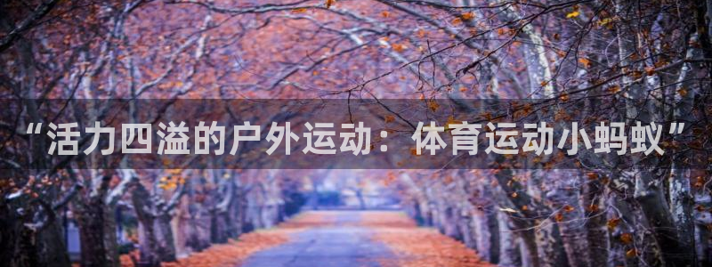 三亿体育网：“活力四溢的户外运动：体育运动小蚂蚁”